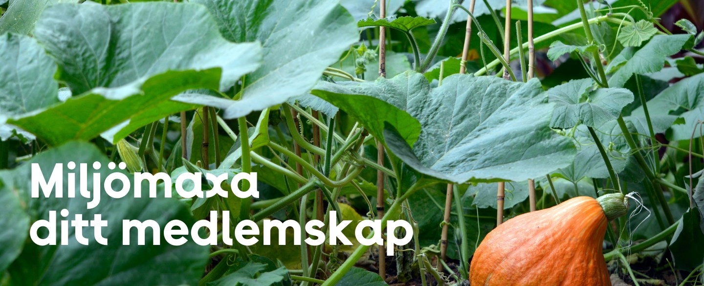 Miljömaxa ditt medlemskap