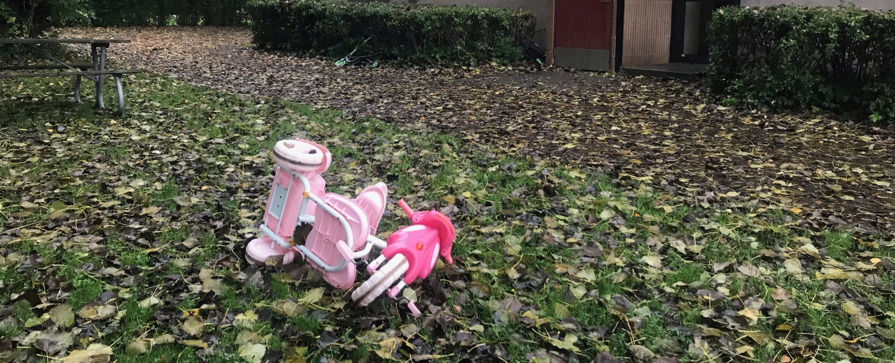 En trehjuling ligger vält i gräset.