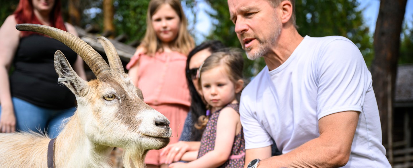 Bild på man som klappar get