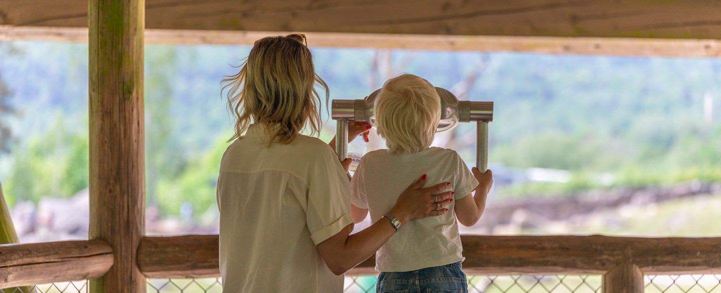 Bild på förälder och barn