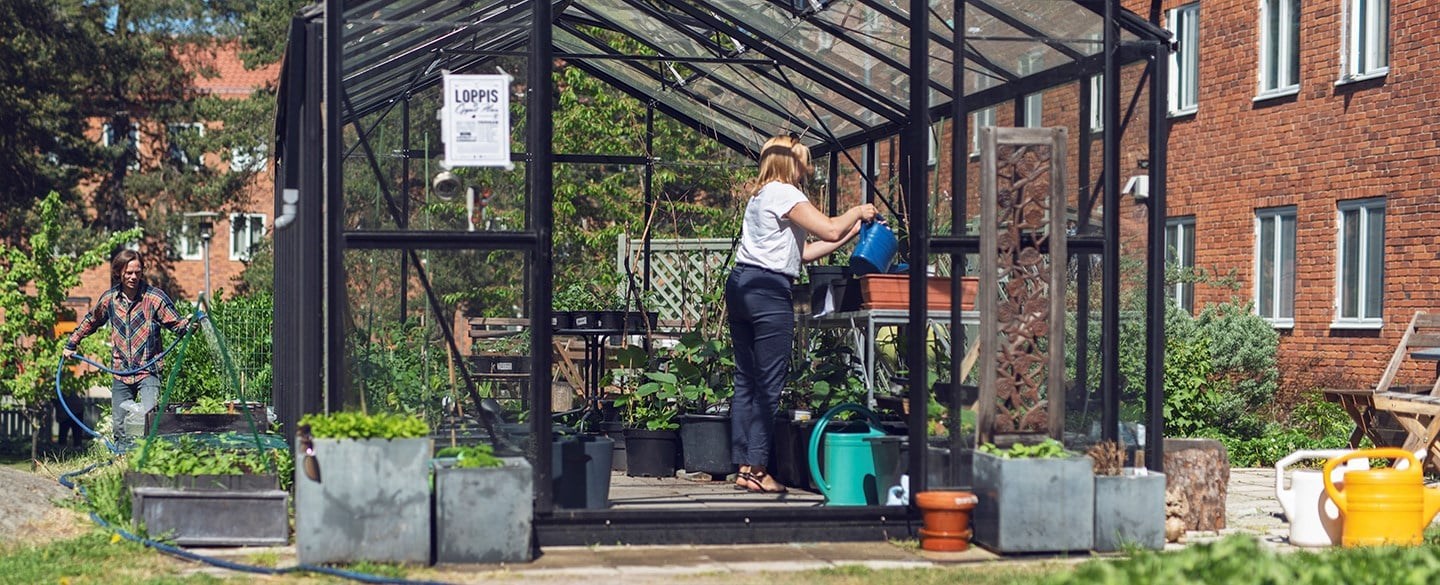 Växthus lokal hyresgästförening