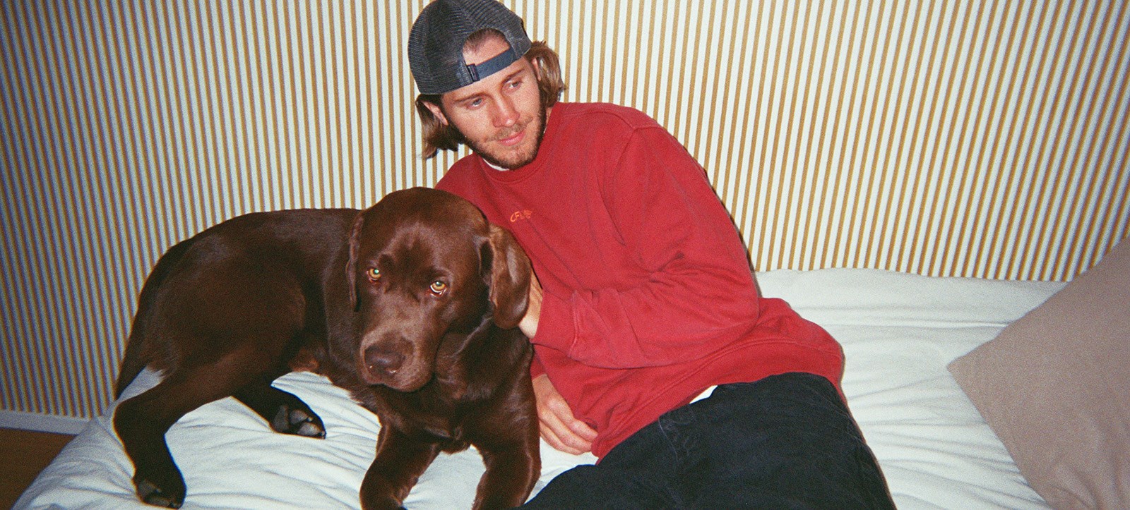 Hund och ung kile
