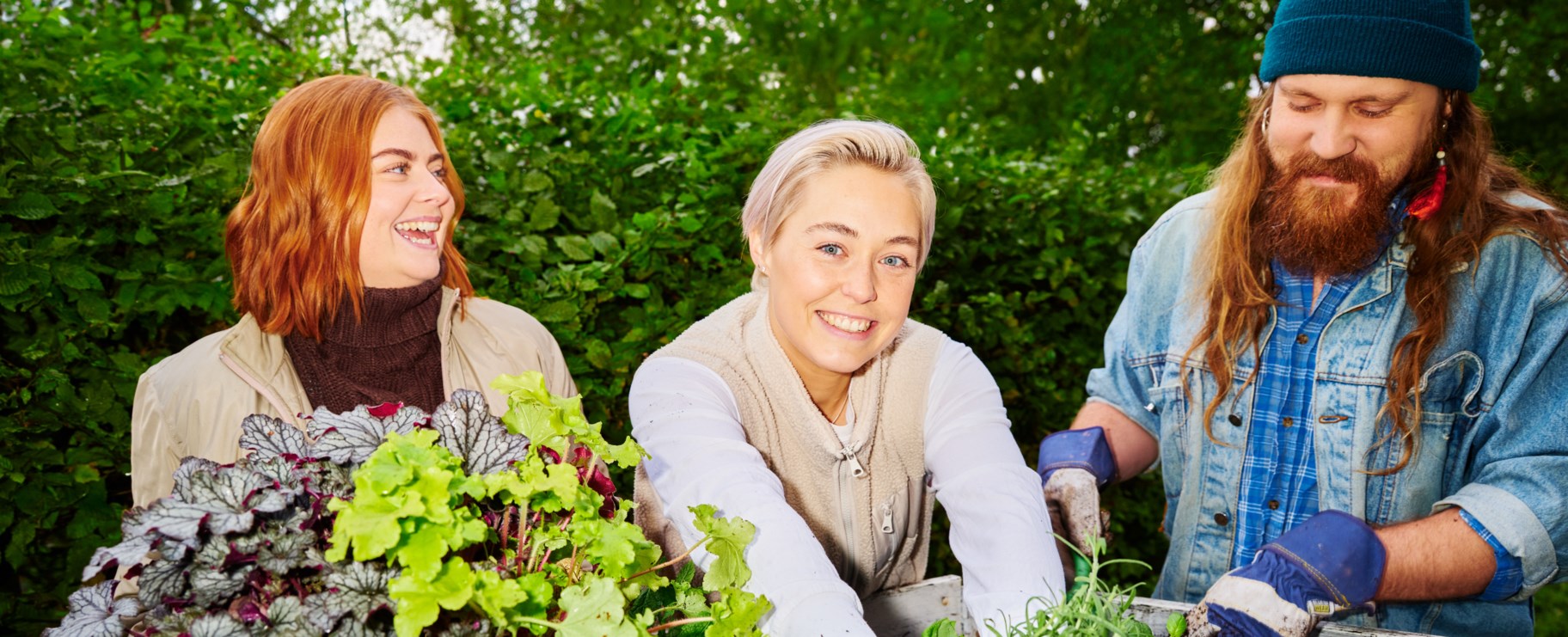 Tre unga personer odlar i en odlingslåda