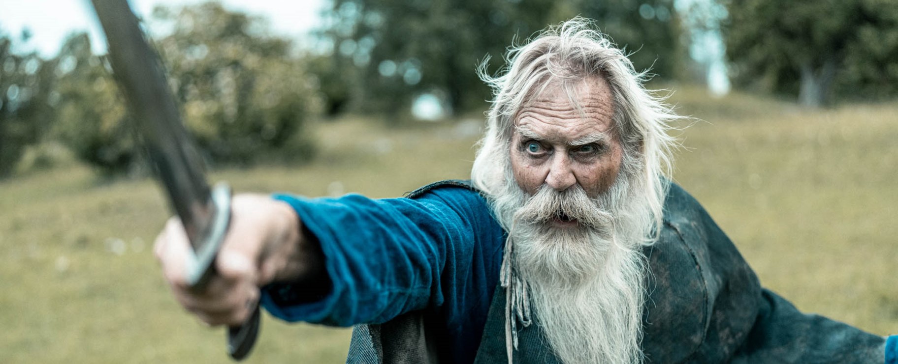 Viking
