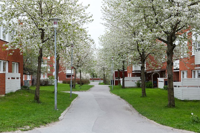 Bostadskvarter med gångväg mellan träd