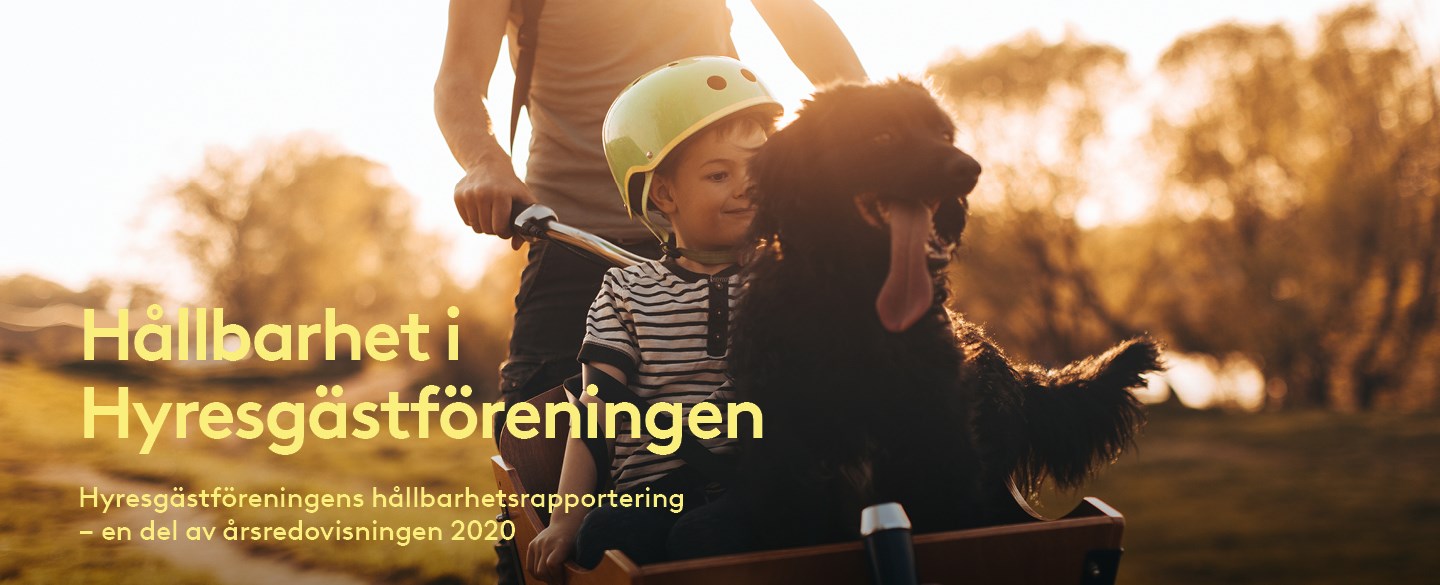 Barn och hund i cykelkorg.