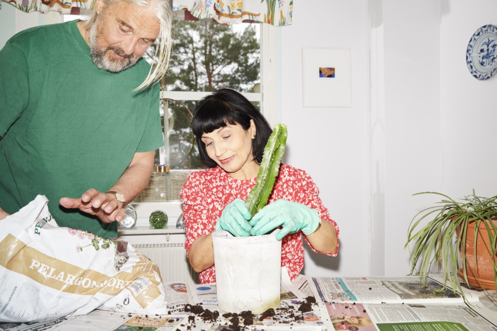 Två personer planterar krukväxter