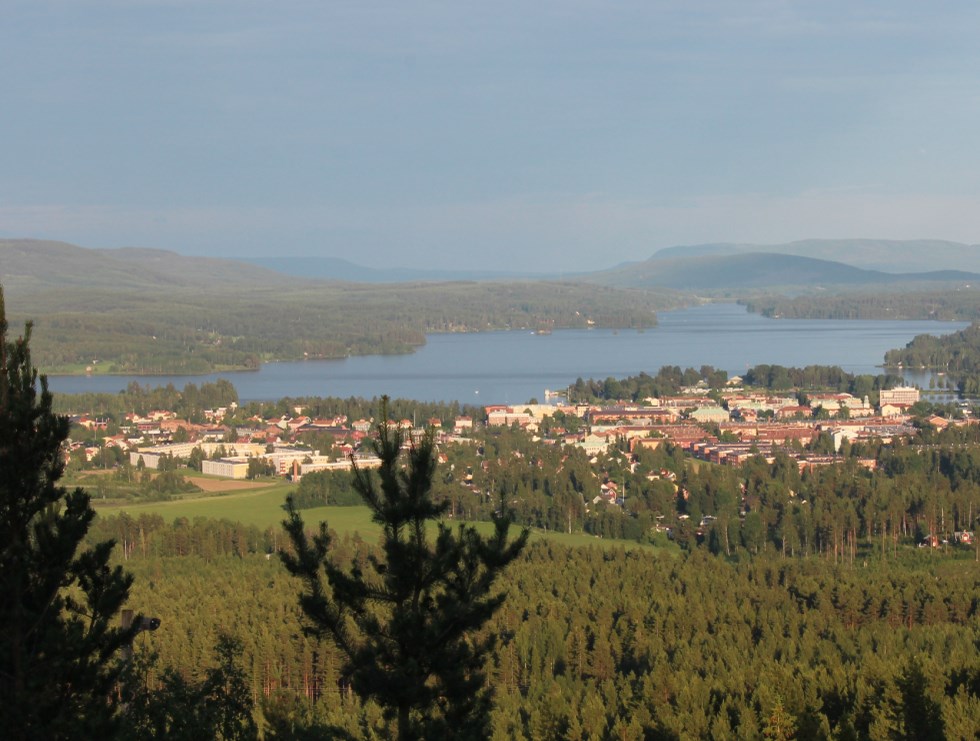 Vy från Bolleberget över skogar och sjö
