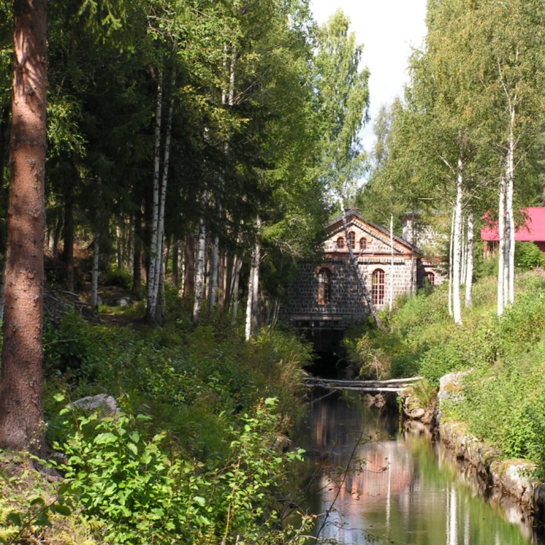 Dammfallet i Hofors i skoglig natur
