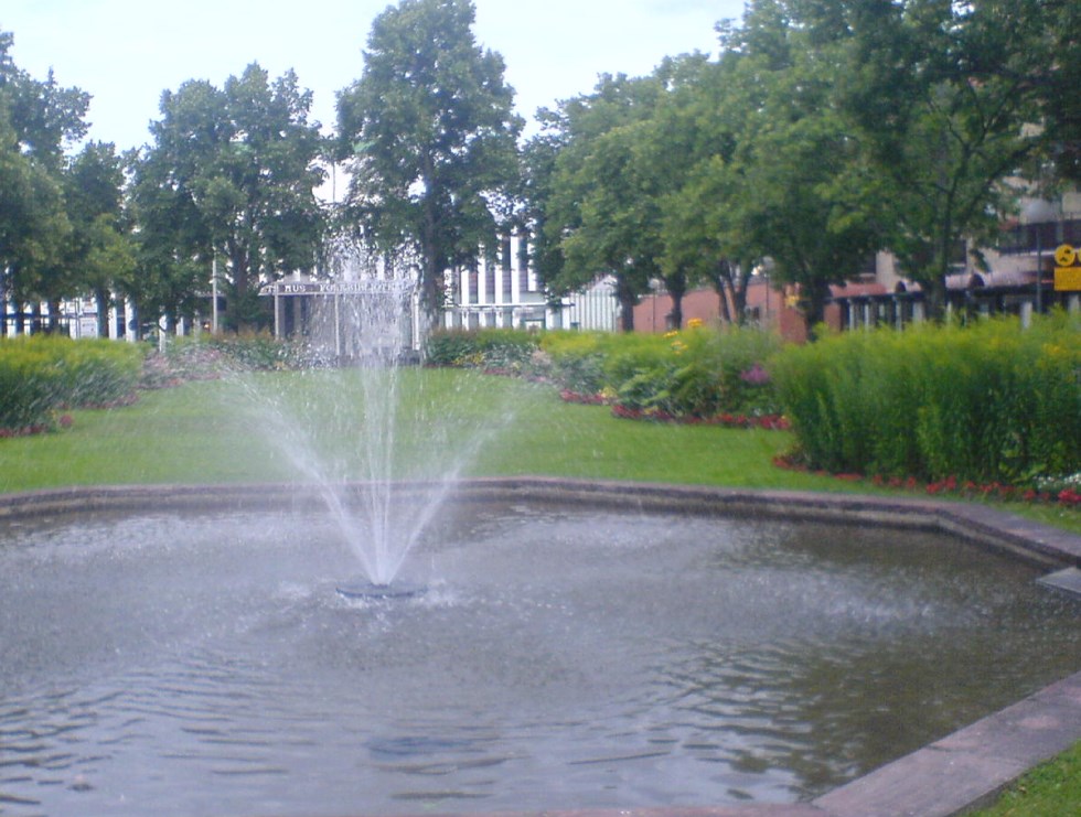 Damm med fontän i park i mulet väder