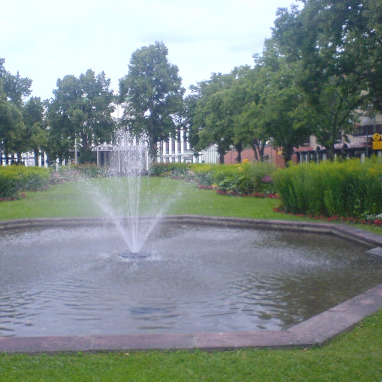 Damm med fontän i park i mulet väder