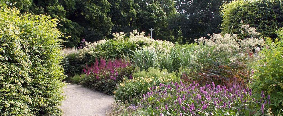 En av Enköpings berömda perennrabatter Mycket grönt