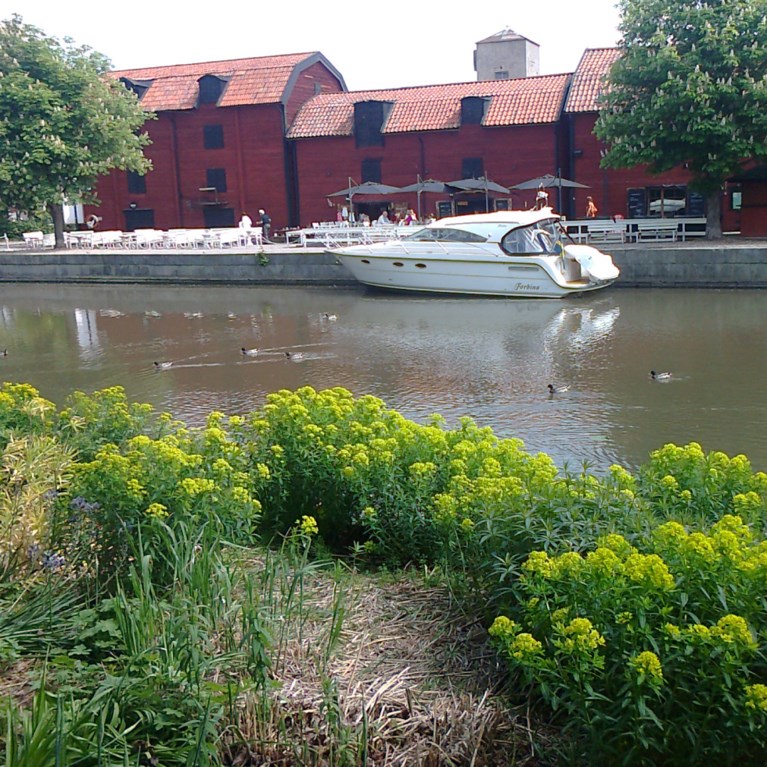 Enköpings småbåtshamn med vit båt vid kajen med röda hus