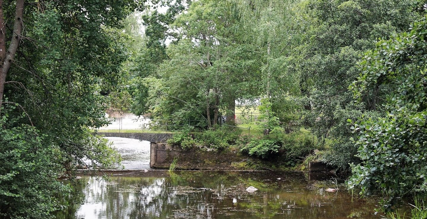 Lantlig idyll med å och grönska som hänger över vattnet