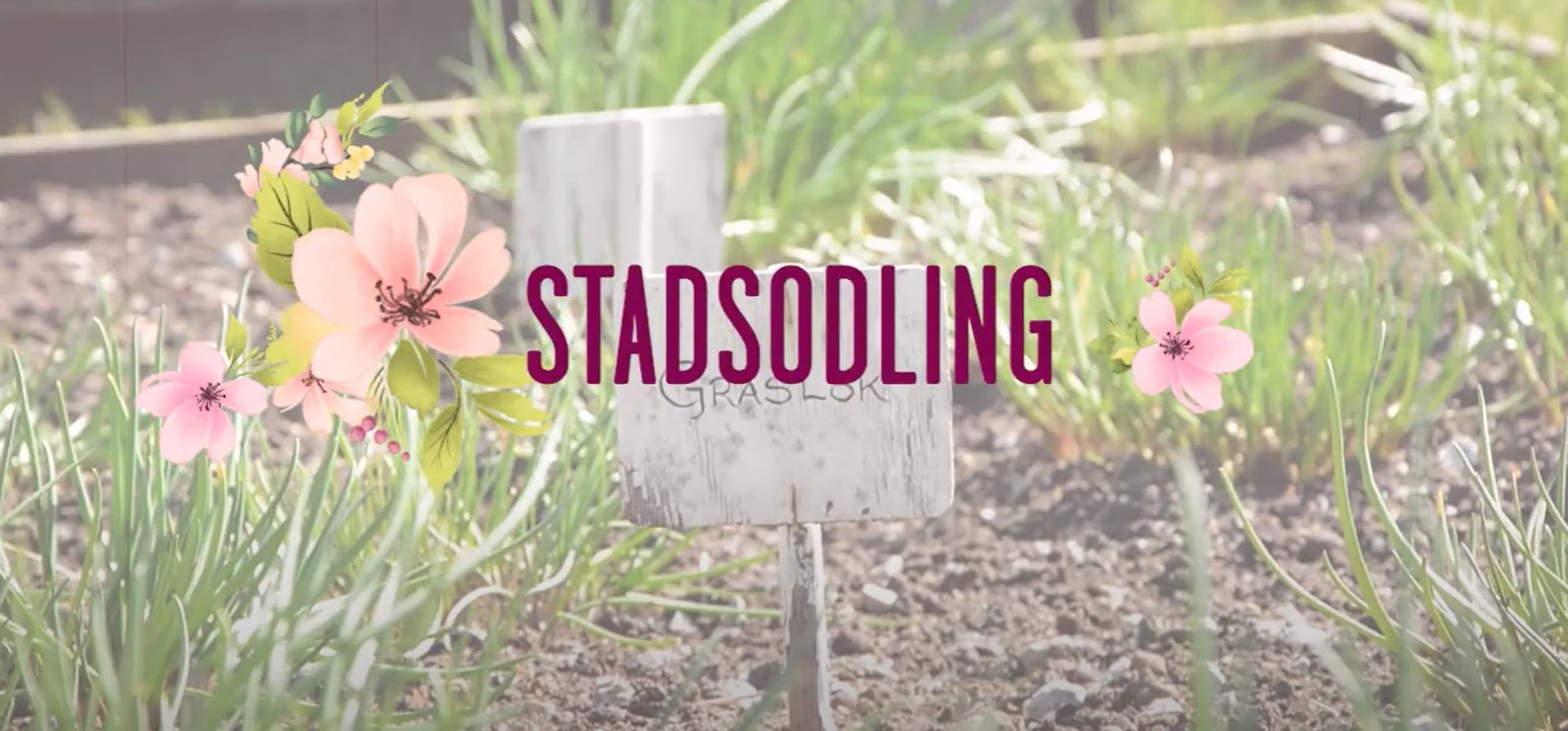 skärmdump av video om odling