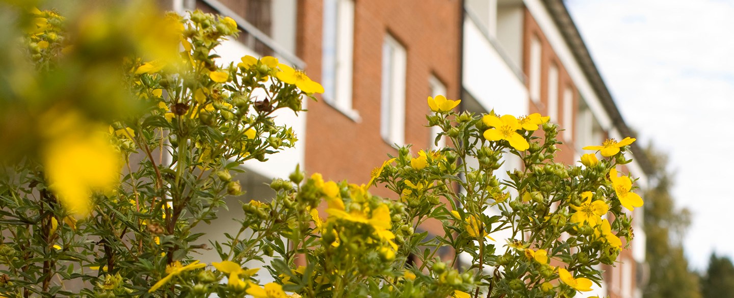 Höstbild från Södra Ryd, Skövde