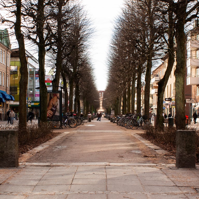 Trollhättan, Kungsgatan och allén