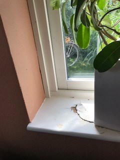 Bristerna i Kerstins lägenhet