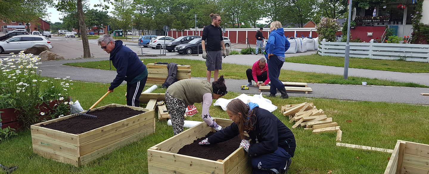 människor arbetar med blomlådor