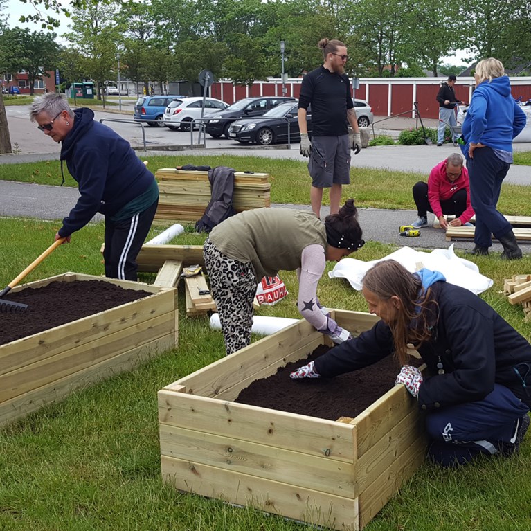 människor arbetar med blomlådor