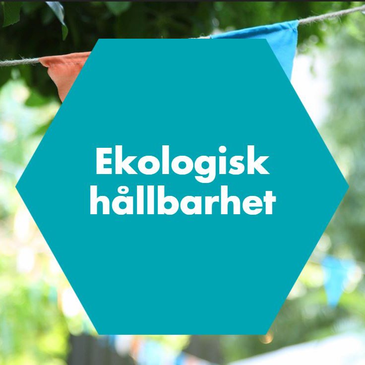 En ruta där det står ekologisk hållbarhet med en grönskande bakgrund