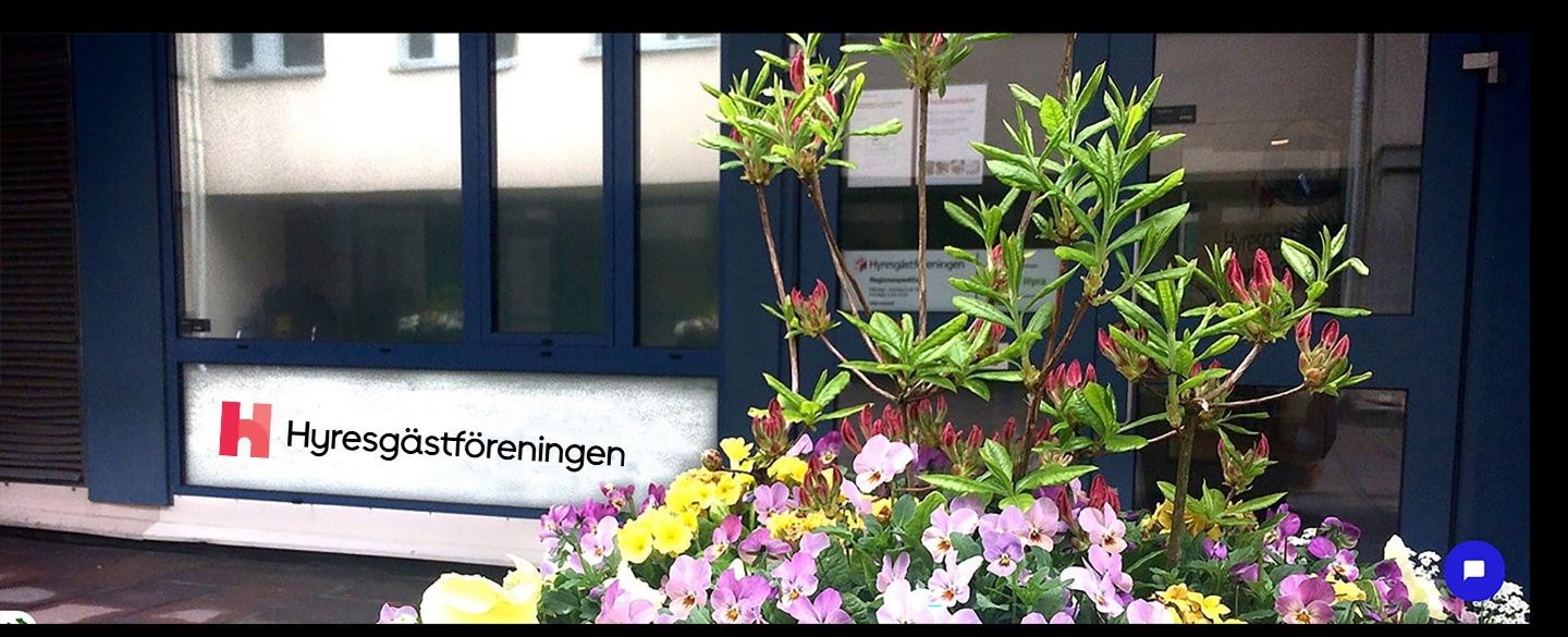 En blomkruka med sommarblommor utanför entre dörr Hyresgästföreningen