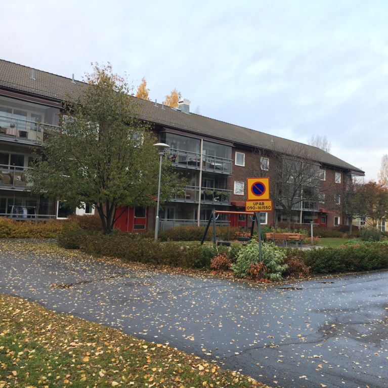 Umeå bostadsområde hyresrätt höst hyresförhandling