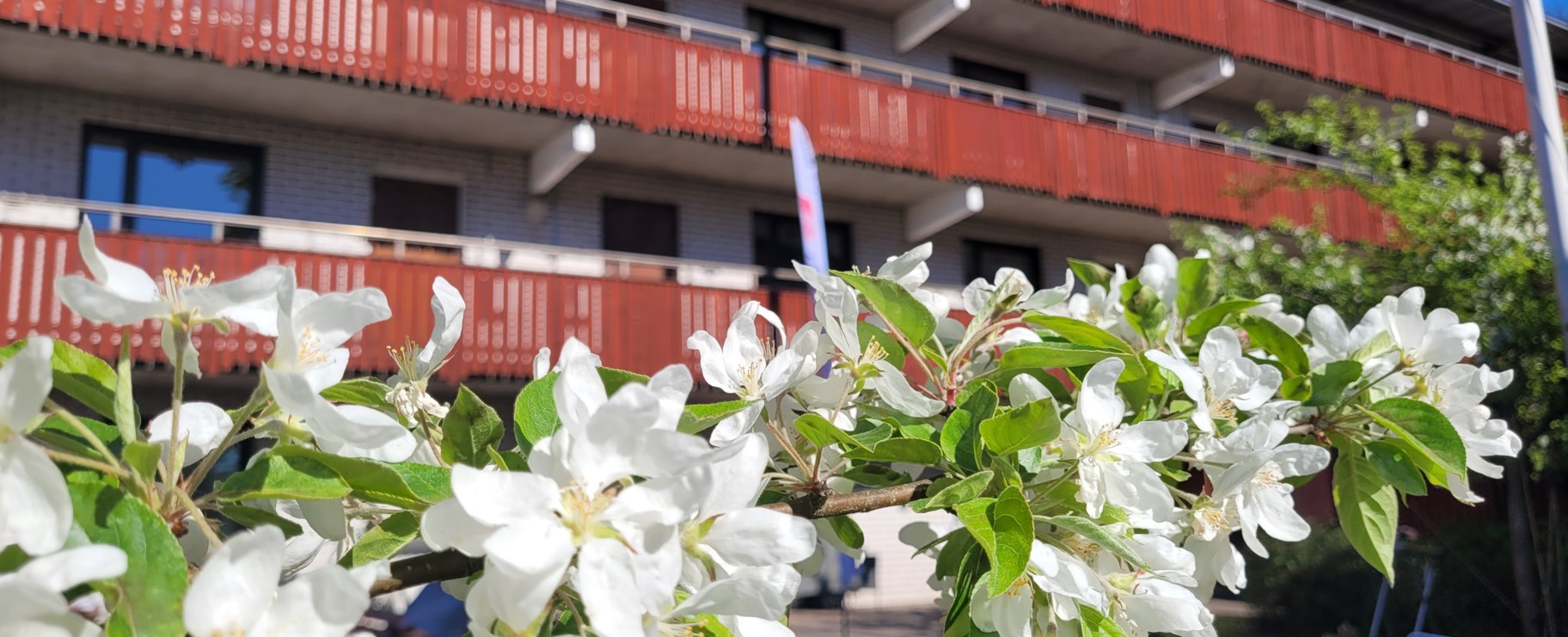 Karlskoga hyresgästträff