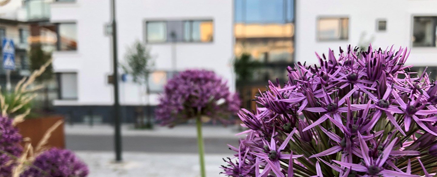 Remisser och stadsutveckling