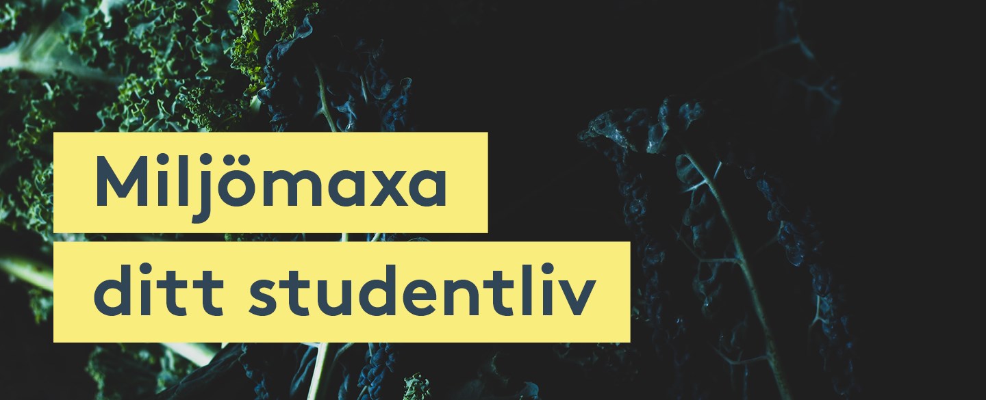 Grönkål med texten Miljömaxa ditt studentliv