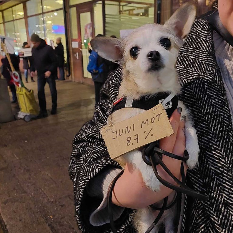 Manifestation januari 2023