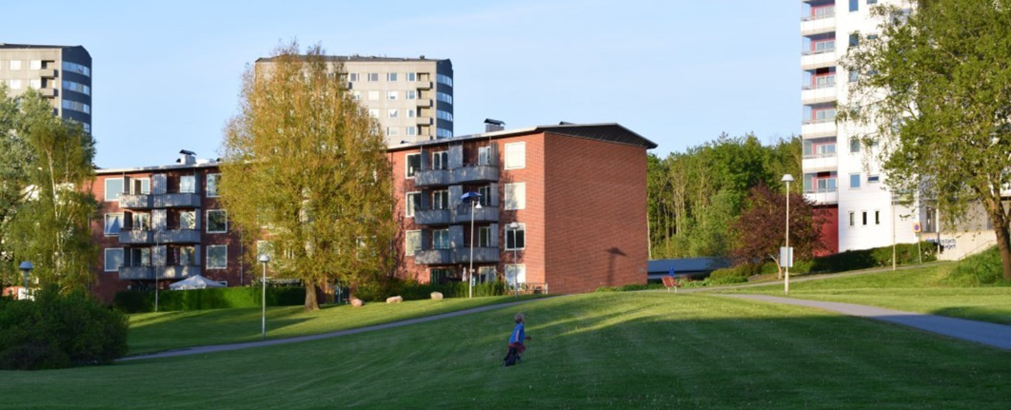 Bild på hus i bakgrunden och en pojke som springer på en gräsmatta i förgrunden.