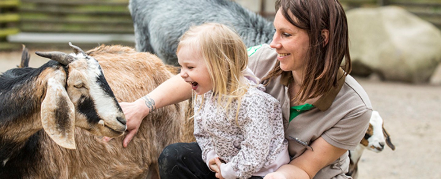 En djurskötare från Kolmården och ett barn klappar en get