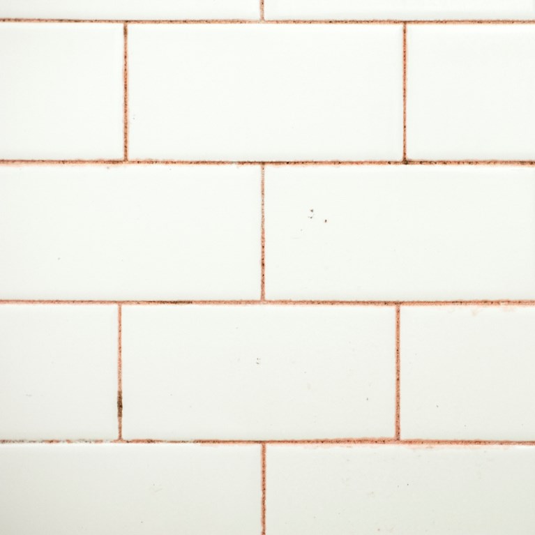 Rödmögel på kakel i badrum