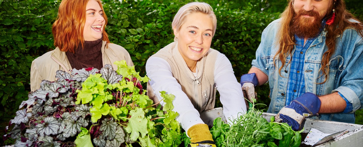 grannar planterar växter