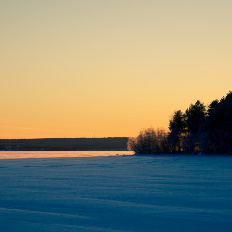 Vinterlandskap i Luleå