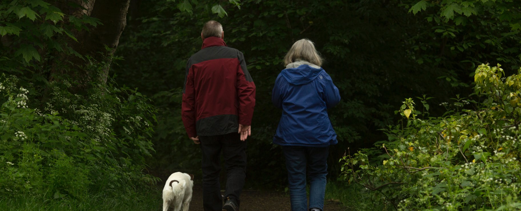Par med hund i skogen
