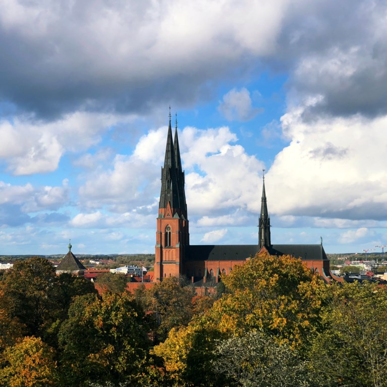 Uppsala domkyrka