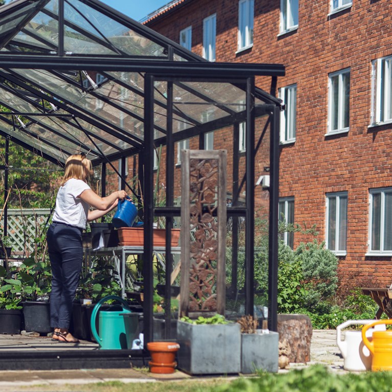 kvinna vattnar växter i växthus