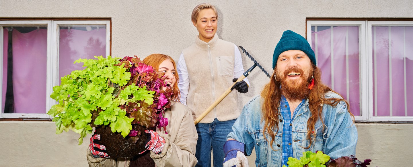 hyresgäster planterar växter