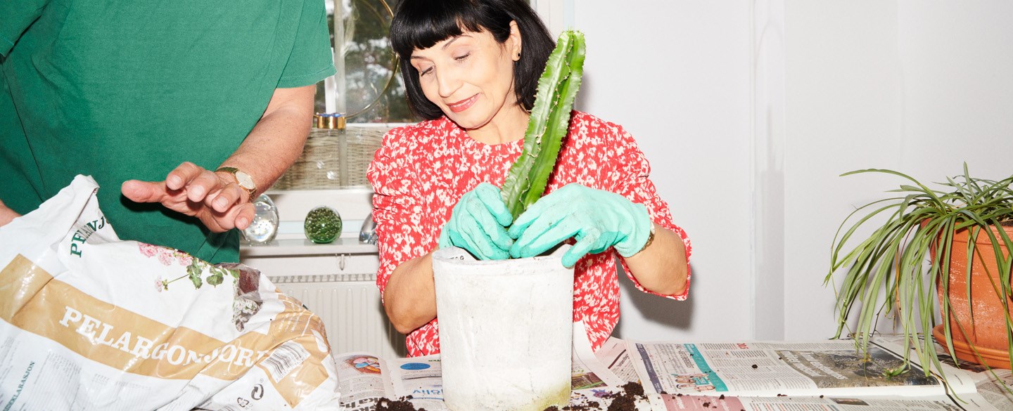 En man och en kvinna odlar i lägenheten