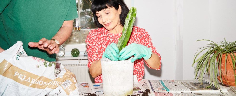 En man och en kvinna odlar i lägenheten