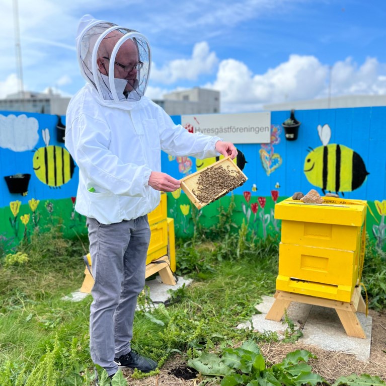 Biodling i bostadsområde