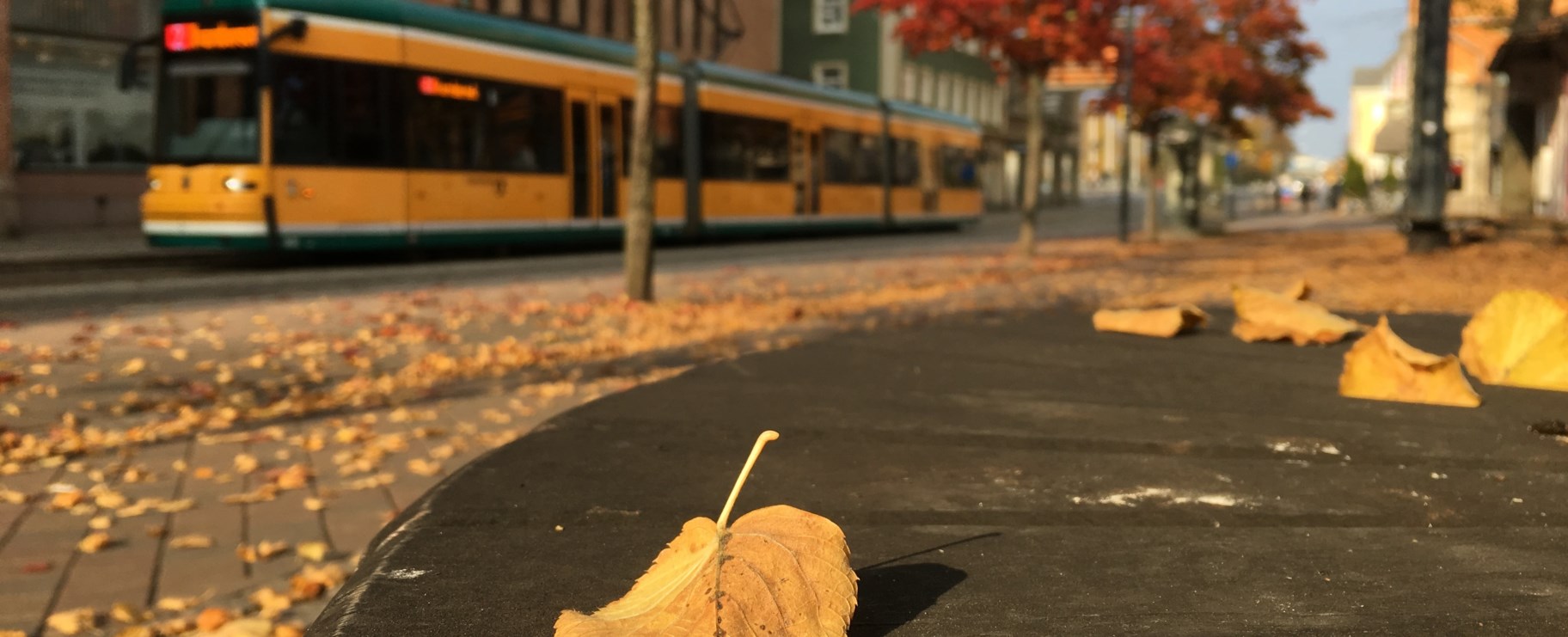 Norrköping Spårvagn Höst