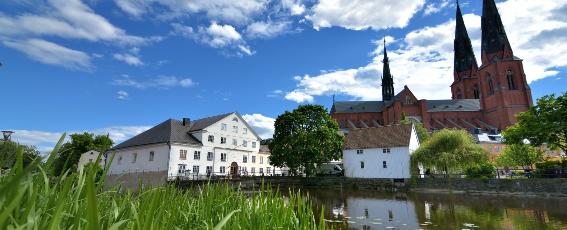 Uppsala sommar vatten domkyrka
